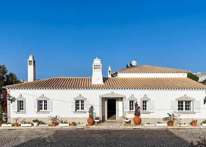 Buganvilias By Delilah Collection *